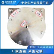 制氫電解槽 鉑電極